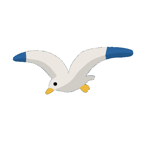Animation Flying Sticker