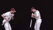 Cuc GIF by CUCougars