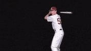 Cuc GIF by CUCougars
