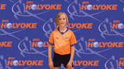 Volleyball GIF by BVC Holyoke
