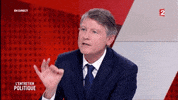 vincent peillon GIF by franceinfo