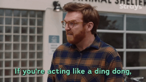 Season 2 Episode 3 GIF by Strays