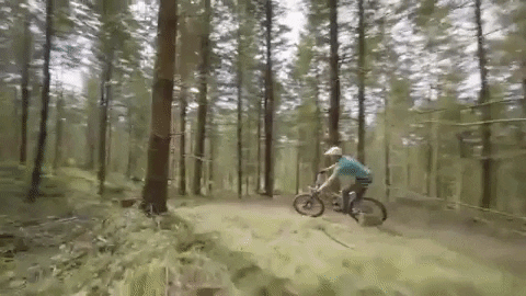 jeffreyjosephkendallweed giphygifmaker GIF