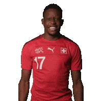 Denis Zakaria Switzerland Sticker by Swiss Football Association