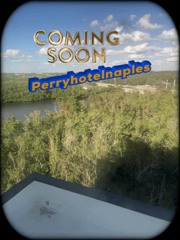 Perryhotelnaples giphyattribution perryhotelnaples GIF