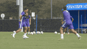 soccer darwin GIF by Orlando City SC