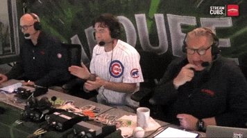 Chicago Cubs Sport GIF by MLB