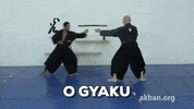 o gyaku GIF by AKBAN Academy