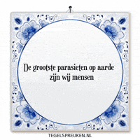 Impact Mens GIF by Tegelspreuken.nl