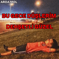 Besiktas GIF