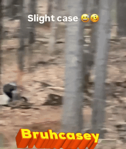 Mtb Case GIF