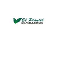 el_plantel_semilleros hoja semillas cosecha semillero Sticker