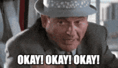 Please Stop Lethal Weapon GIF by slicedbread