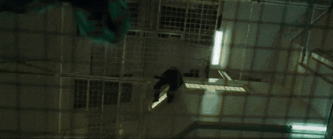 d4b123123r32513244 giphyupload GIF