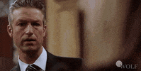 Dick Wolf Wow GIF by Wolf Entertainment