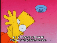 Season 1 Episode 3 GIF by The Simpsons