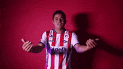 Sanluis Adsl GIF by Atlético de San Luis