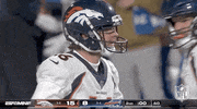 National Football League GIF by NFL