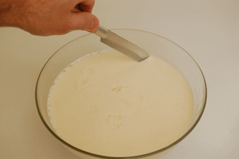 cheese GIF