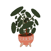 Plant Sticker