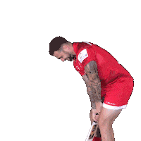 Celebration Rugby Sticker by Jersey Reds