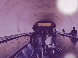 Born Losers GIF by Stray Fossa