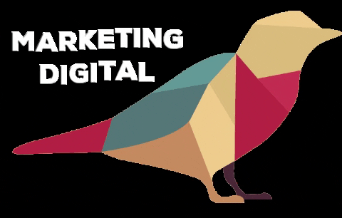 canariomarketing giphygifmaker marketing marketingdigital mktdigital GIF
