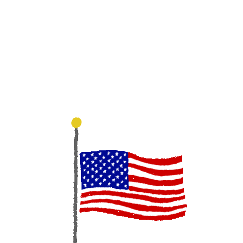 American Flag Sticker by INTO ACTION