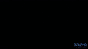 Fitness Health GIF by RENPHO