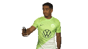 Vfl Wolfsburg Selfie Sticker by Bundesliga