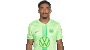 In Love Football Sticker by VfL Wolfsburg