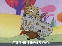 nickrewind nicksplat angry beaver GIF