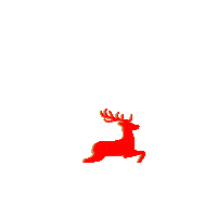 Bier Hirsch Sticker by hirsch_brauerei