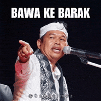 Sedseda GIF