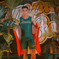 South Florida Horns Up GIF by USF Athletics
