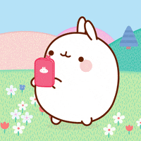 picture photo GIF by Molang.Official