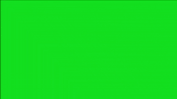 tom skilling dancing GIF by WGN Morning News