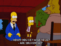 homer simpson GIF