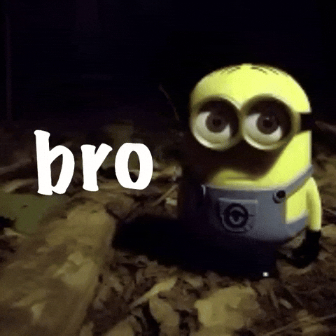 Bro Weirdo GIF