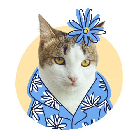 KoshPush giphyupload party flower koshpush Sticker