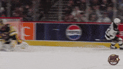 Goal Celebration GIF by Hershey Bears