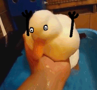 halp GIF