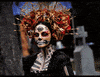 GIF by Univision Noticias