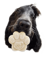Ice Cream Treats Sticker by Smoofl