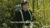 Star Wars Disney Plus GIF by Disney+