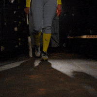 Ncaa Softball GIF by GoDucks