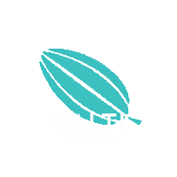 Honduras Cacao Sticker by baltichocolates