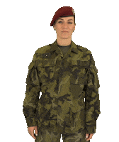 armadaceskerepubliky wow really army czech Sticker