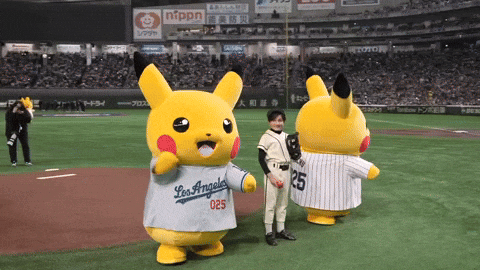 Sport Baseball GIF by MLB