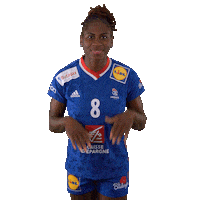 Ffhandball Sticker by Fédération Française de Handball